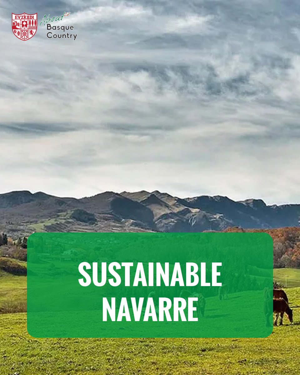 About Basque Country tweet media