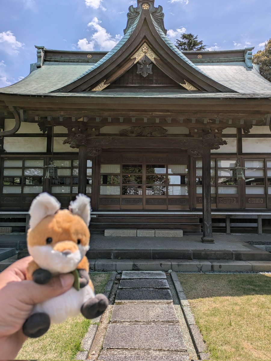 にゃー吉 tweet media