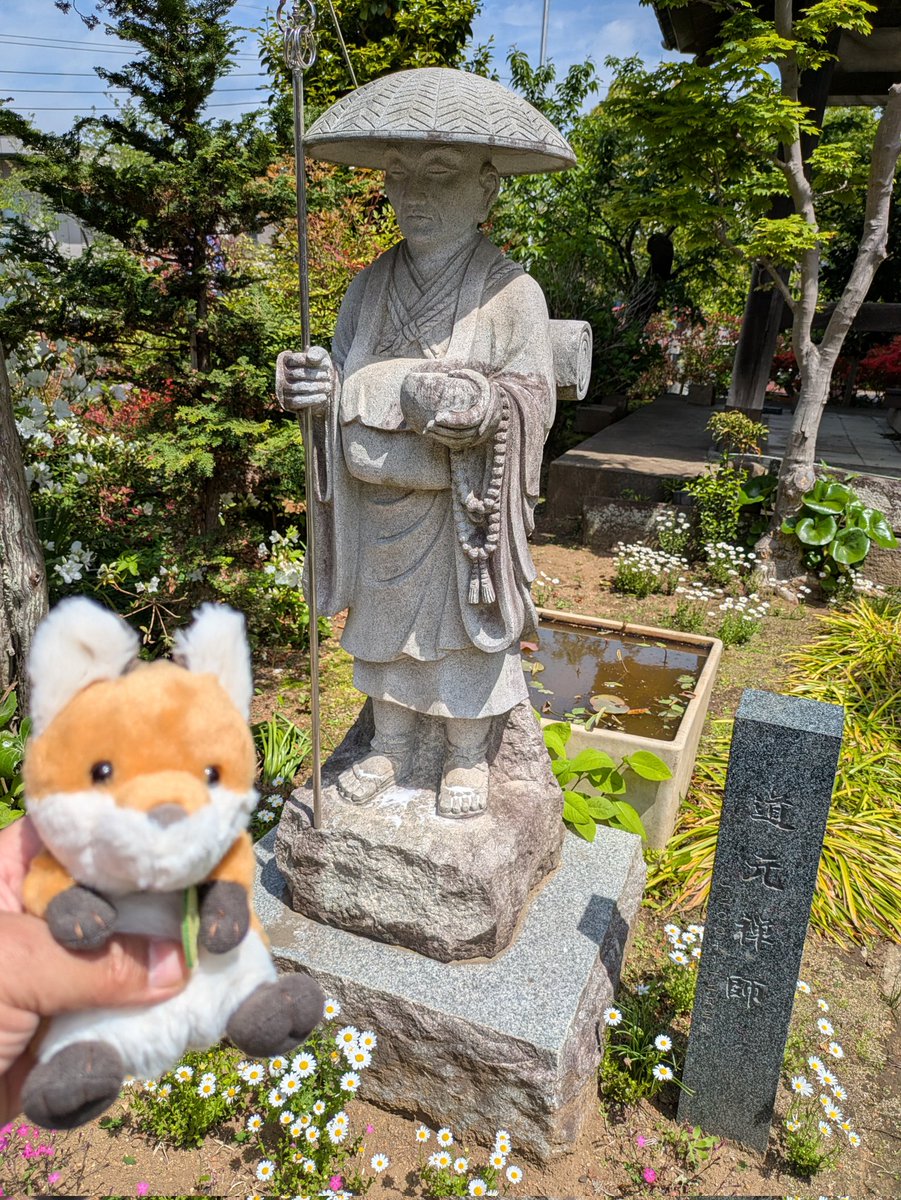 にゃー吉 tweet media