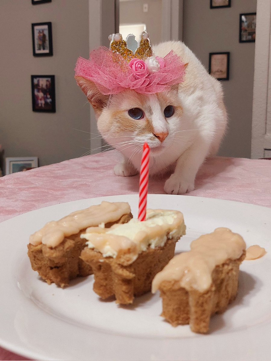 Caddie Laberiano-Fernández, MD, FIAC tweet media