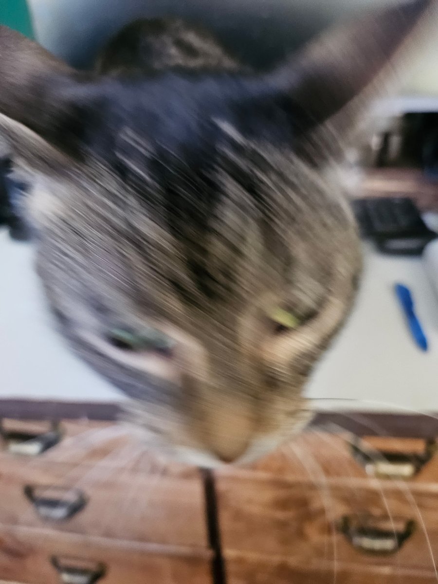 Cring Cring tweet media