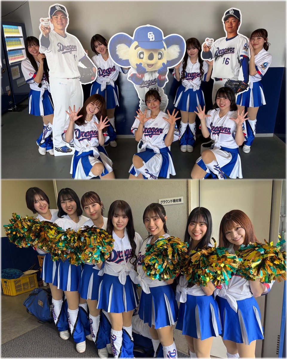 チアドラゴンズ公式 tweet media