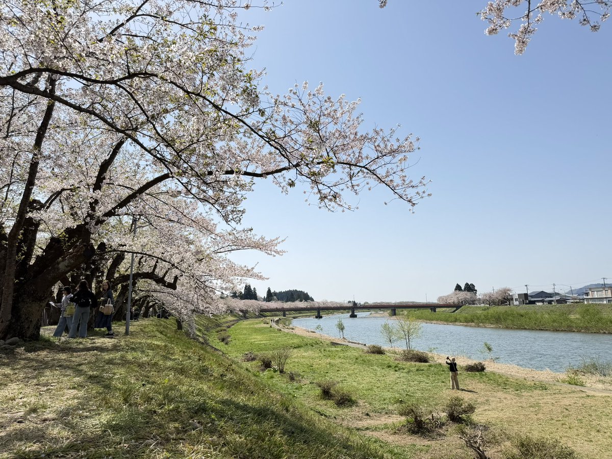 仙北市観光課【公式】 tweet media