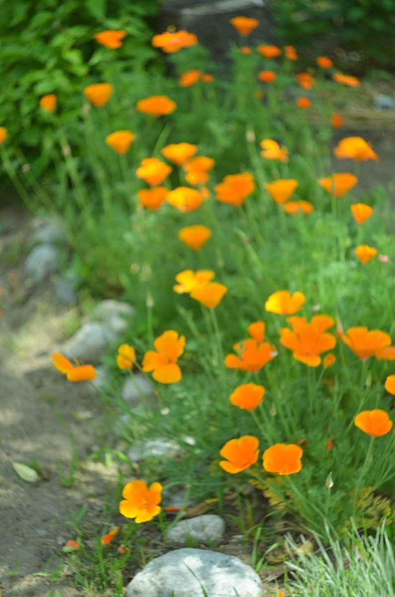 4/20(月) OPEN
10:00-15:00

本日もオープンしてます！

昨日はたくさんの方に12周年のお祝いメッセージをいただきました。
皆さま本当にありがとうございます🫶

これからのティダもどうぞよろしく◯