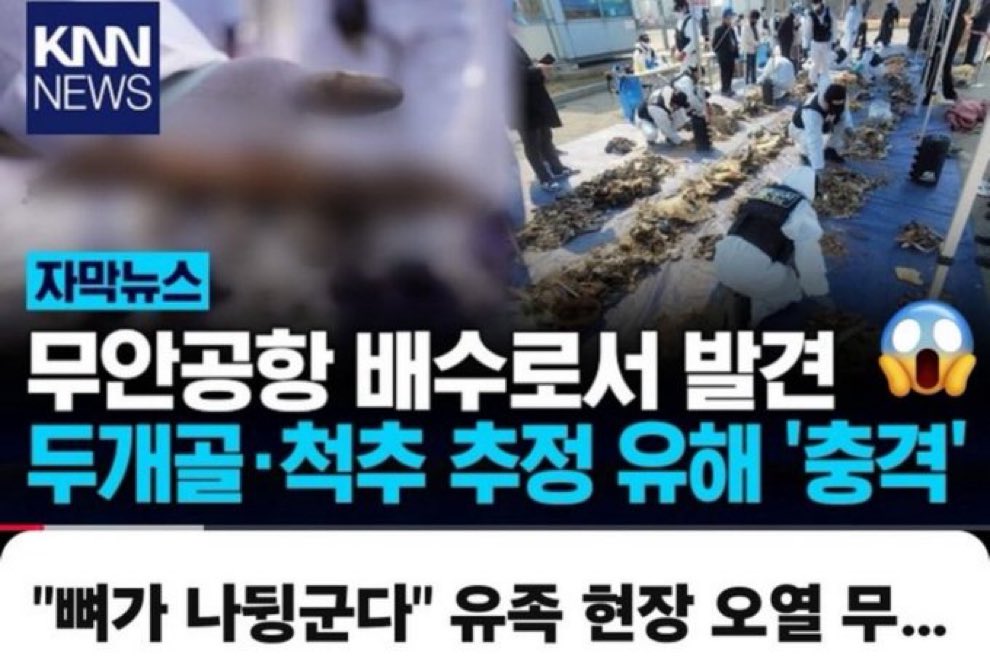 썩은세상 🐳 tweet media