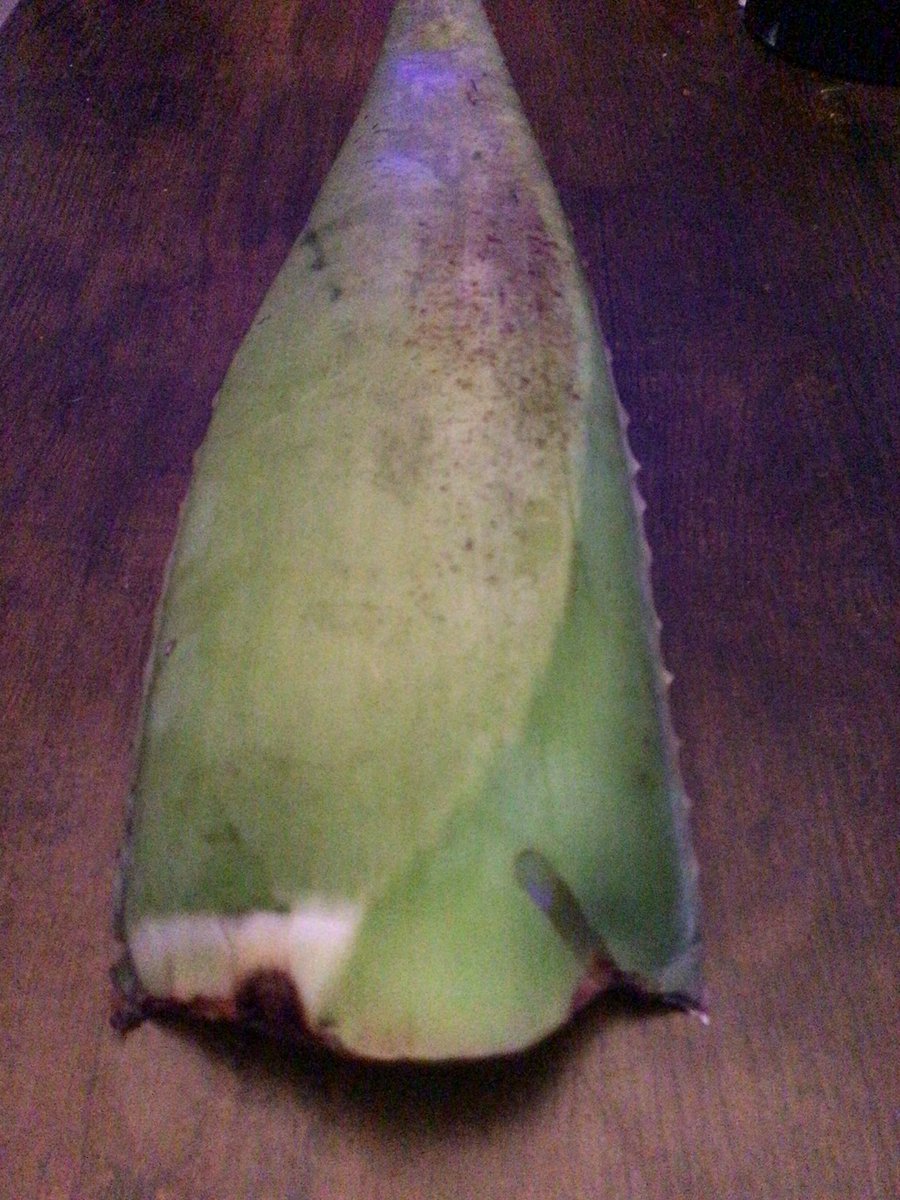 Kaysar Roberts 🦍👻 tweet media