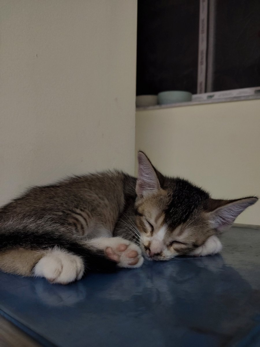 Are you ok bachaa call Karu...? tweet media