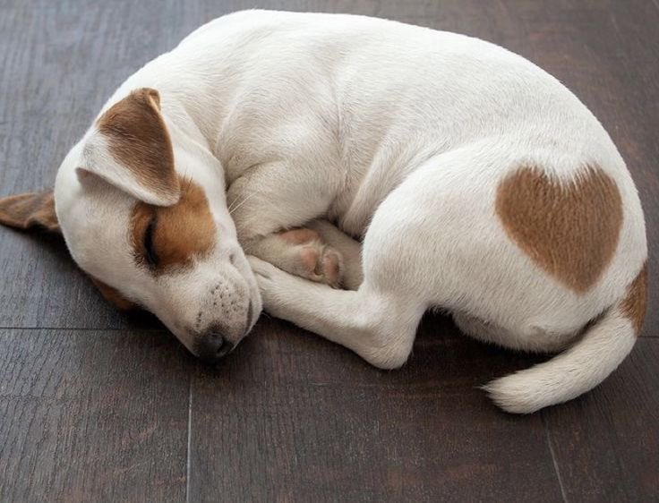 How i sleep when I’m full of love nn affection,,,,