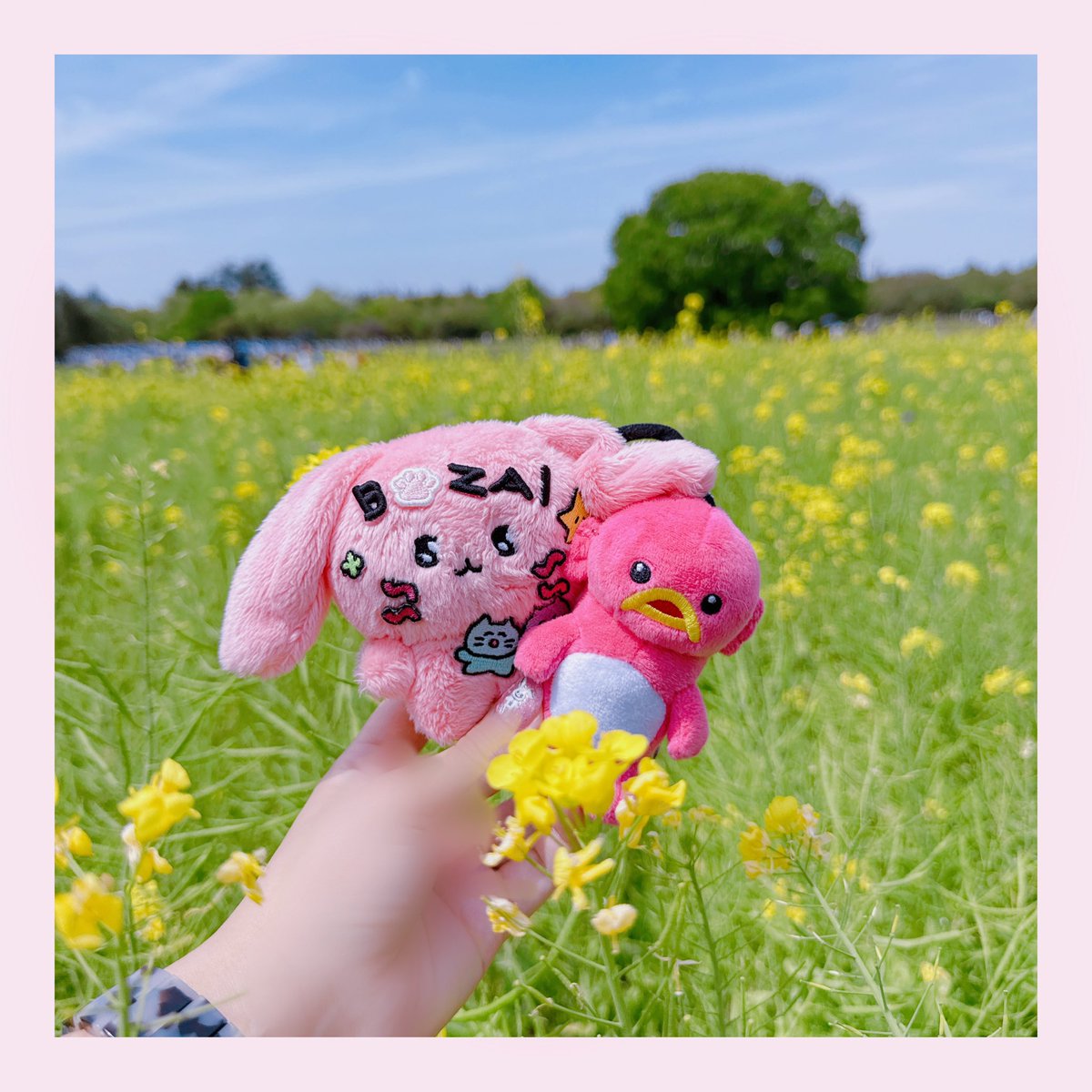 𝔹ね𝘢𝘦𝘵みℤ tweet media