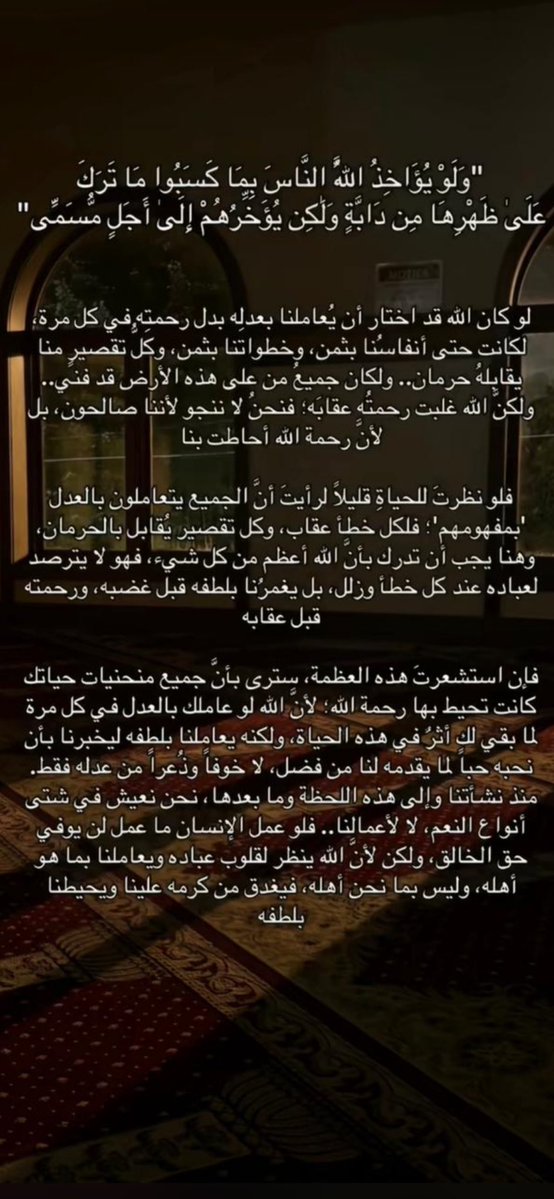 ام ابراهيم tweet media