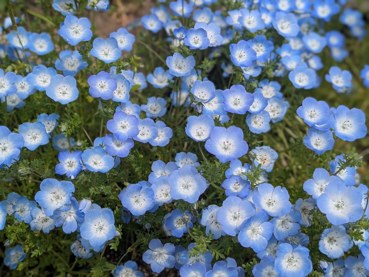 健美薬湯株式会社【公式】 tweet media