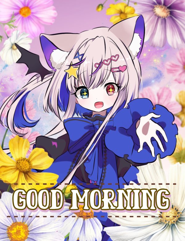 魔猫ノのあ⭐️໒꒱ tweet media