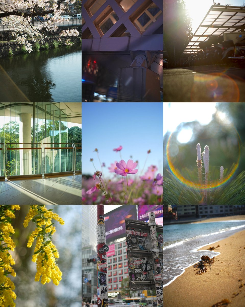 もろこしよっぴ🌽 tweet media