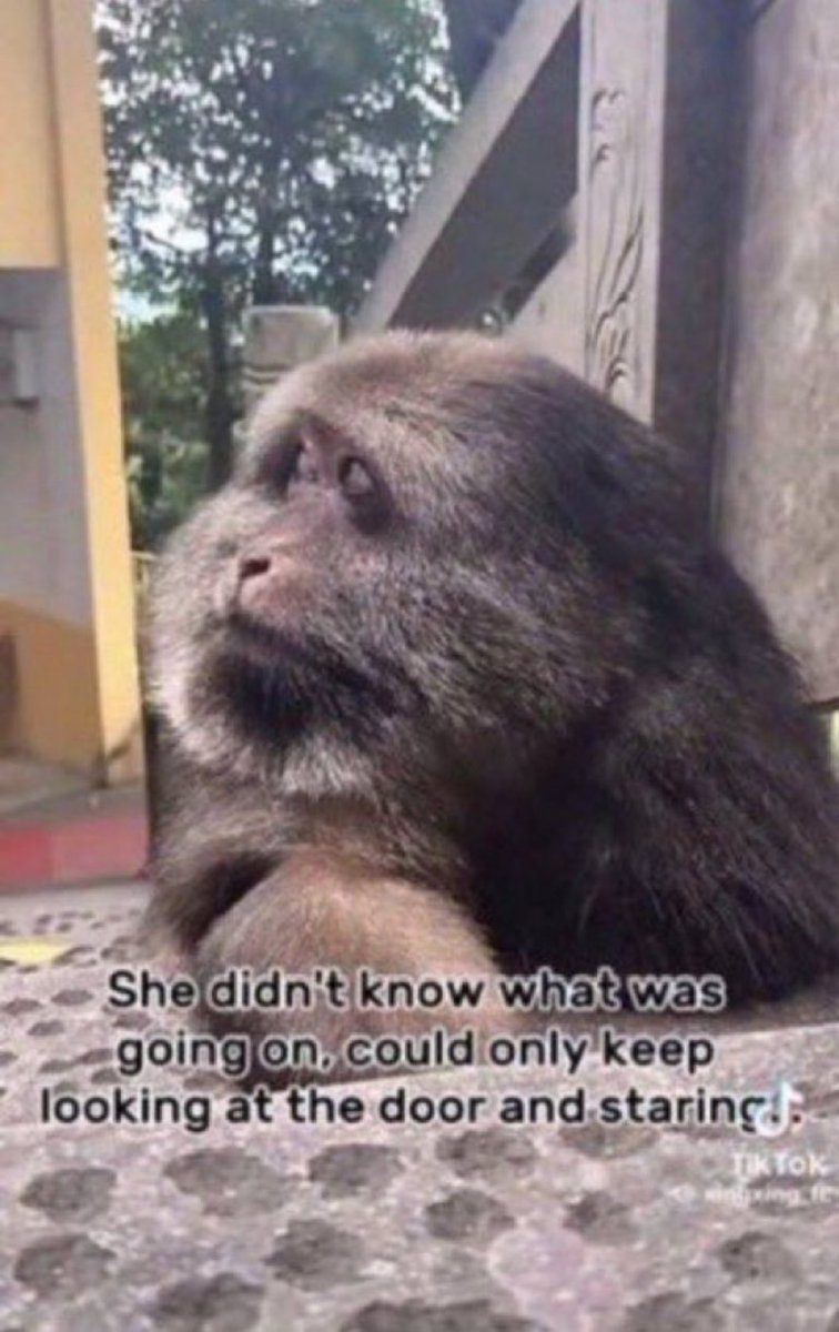 livy ⭑.ᐟ tweet media