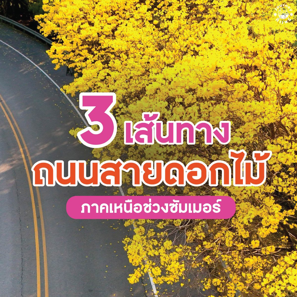 Journey ที่แพร่ tweet media