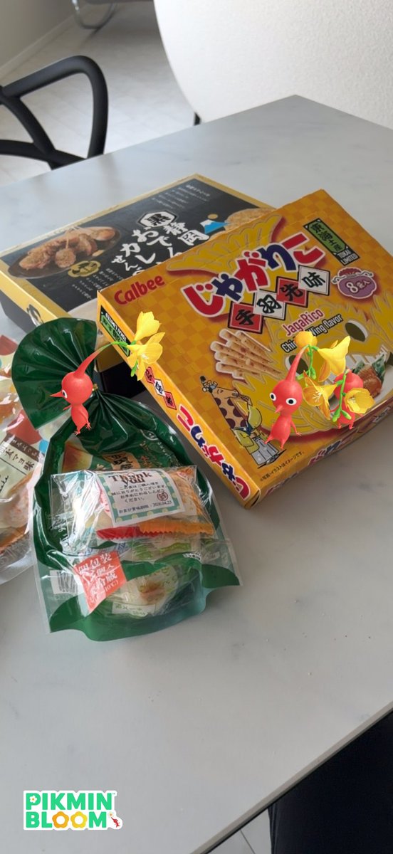 めい@pikmin bloom✖️pixel pot tweet media