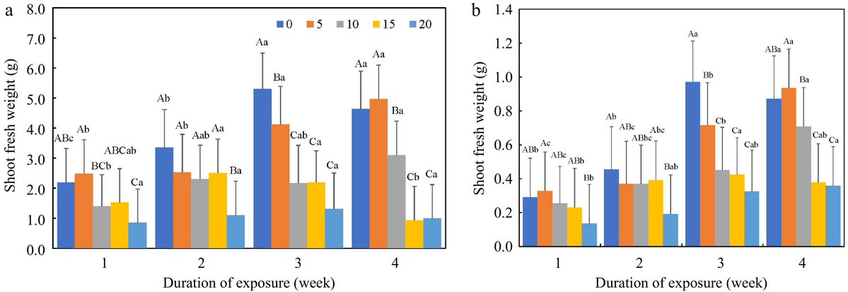 PlantSciRes's tweet image. #TIA

Biofertilizers improve crop growth nutrient uptake and soil microbial activity enhancing sustainable agricultural productivity

@MaximumAcademic #Biofertilizer #SustainableAgriculture @PlantPhys

Details: maxapress.com/article/doi/10…