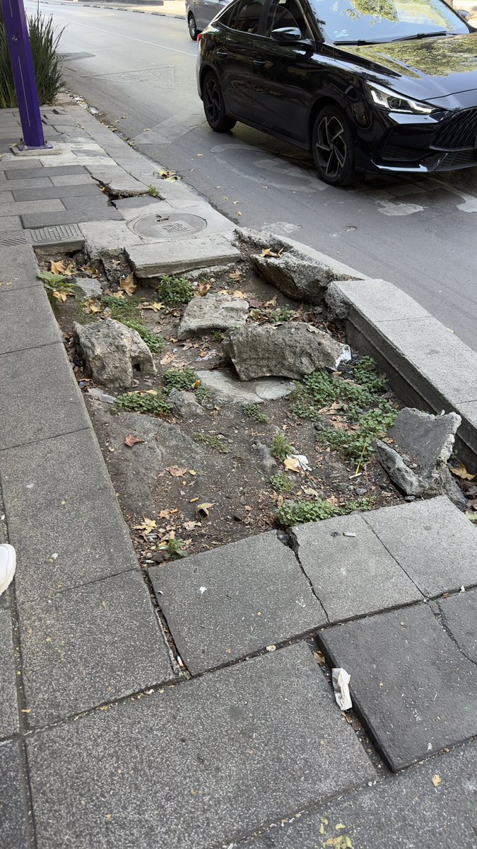 Machinermxs's tweet photo. @AlessandraRdlv A mi me parece increíble su inoperancia y mediocridad, la alcaldía se cae a pedazos y usted haciéndose la influencer. Me pregunto… cuantos turistas internacionales se asombrarán al llegar a las zonas más turísticas de la capital y verlas en su máximo esplendor para este mundial? https://t.co/CwGnaFZj7g