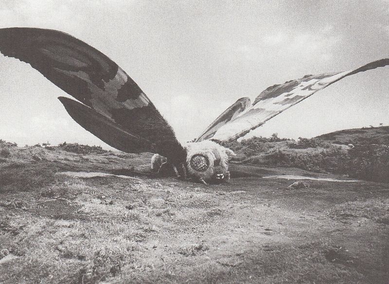 Daily Mothra ʚïɞ tweet media