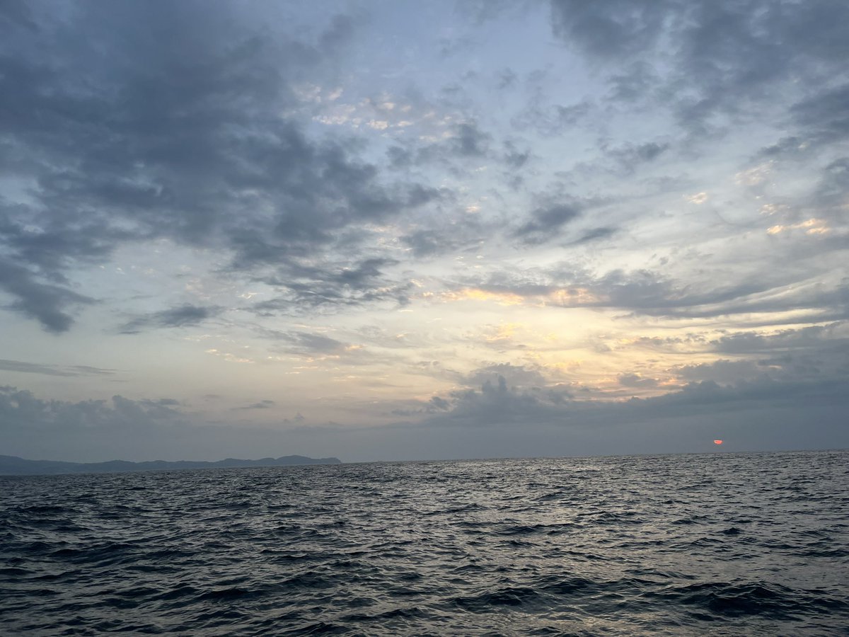 anfish_angler's tweet photo. 真鯛調査 https://t.co/t3yOgPLsPK