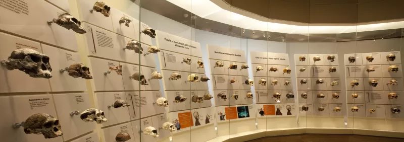 Town Square Man ☕️ tweet media