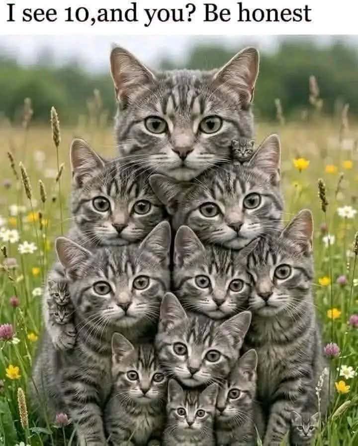 Elena 🇺🇸 tweet media