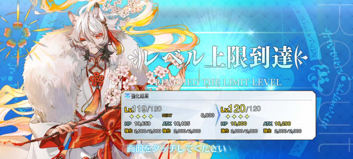 あばれる猫 tweet media