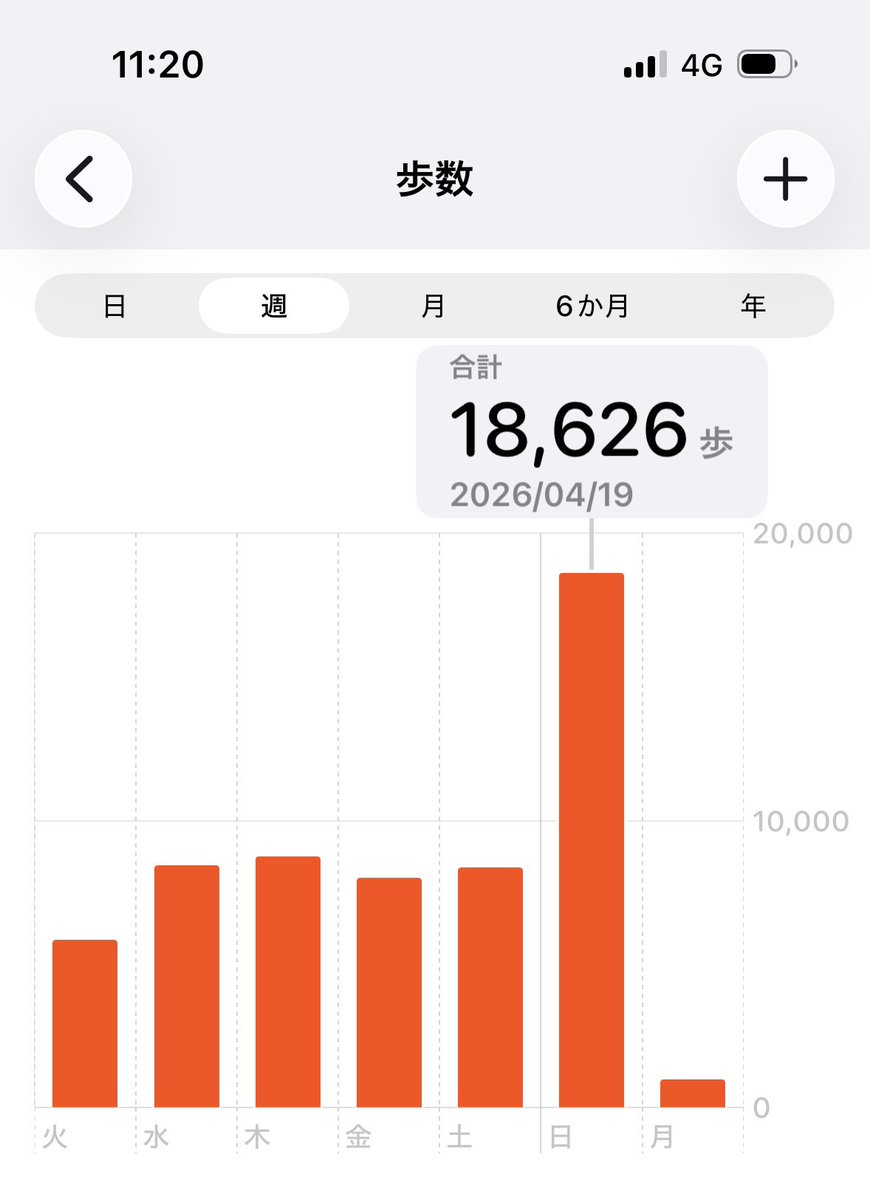 レオレオ@R-STAGE tweet media