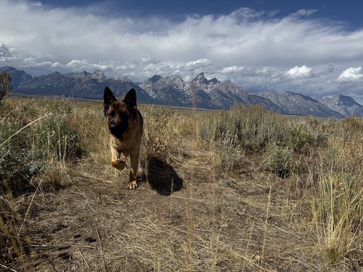NachoGoblin69's tweet photo. @fuyuto64 Wyoming. The most beautiful place in America. https://t.co/tQDmlXeuYy