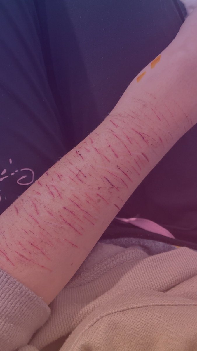 zakaylahxoxo's tweet image. Aesthetic?😫 #shedtwt #cuts