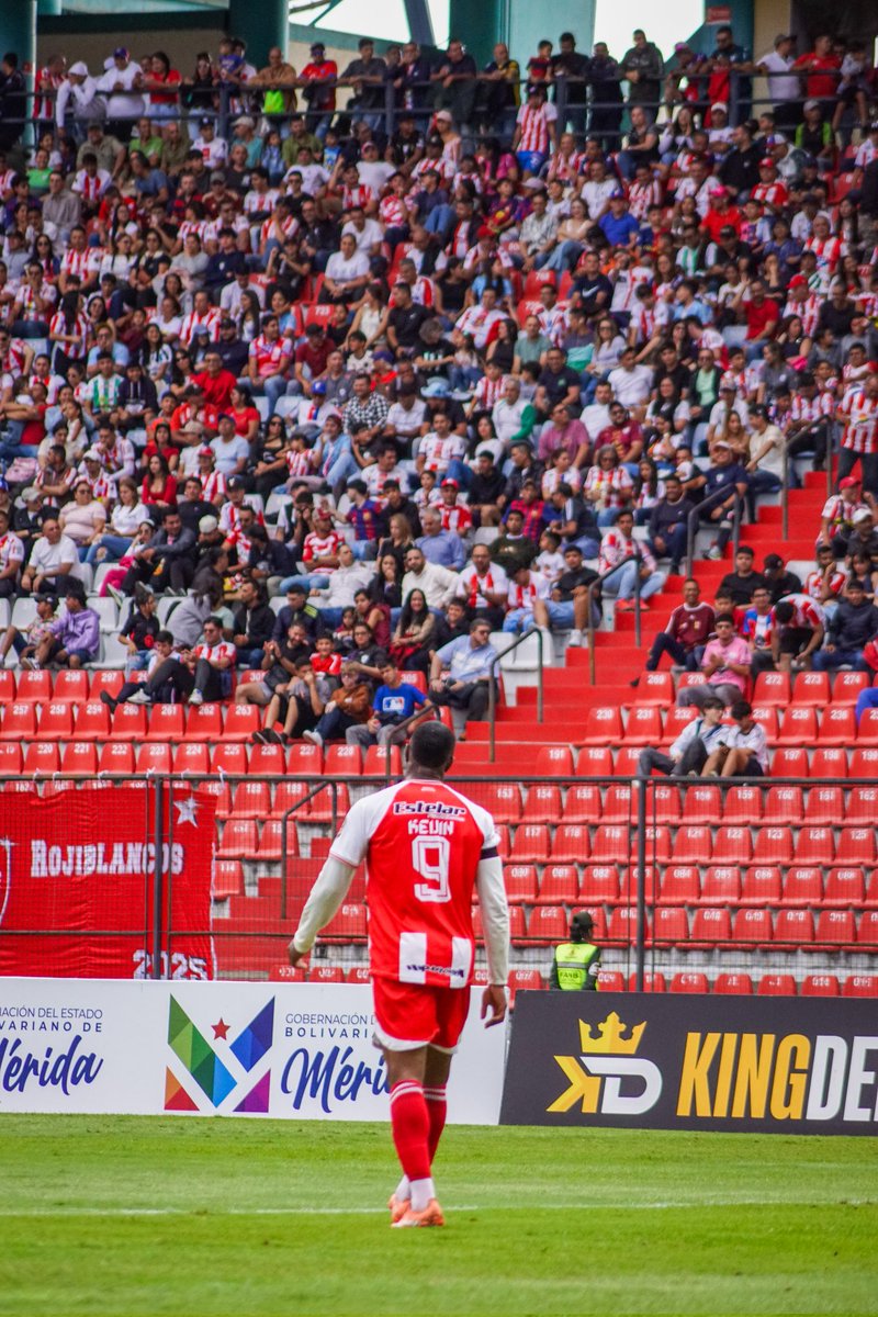 𝙅𝙚𝙨𝙪́𝙨 𝙈𝙚𝙣𝙙𝙤𝙯𝙖 tweet media