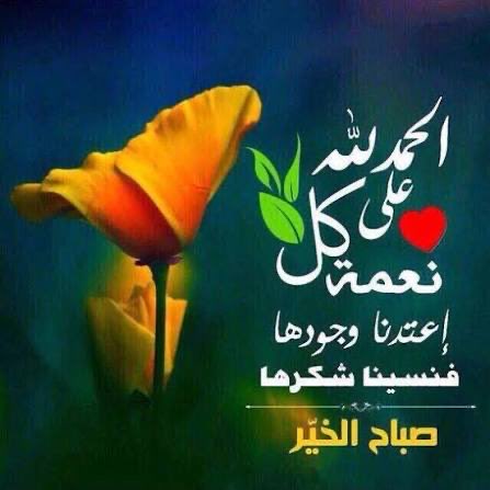 محمد عبدالله احمد الفالح ابو عبدالله tweet media