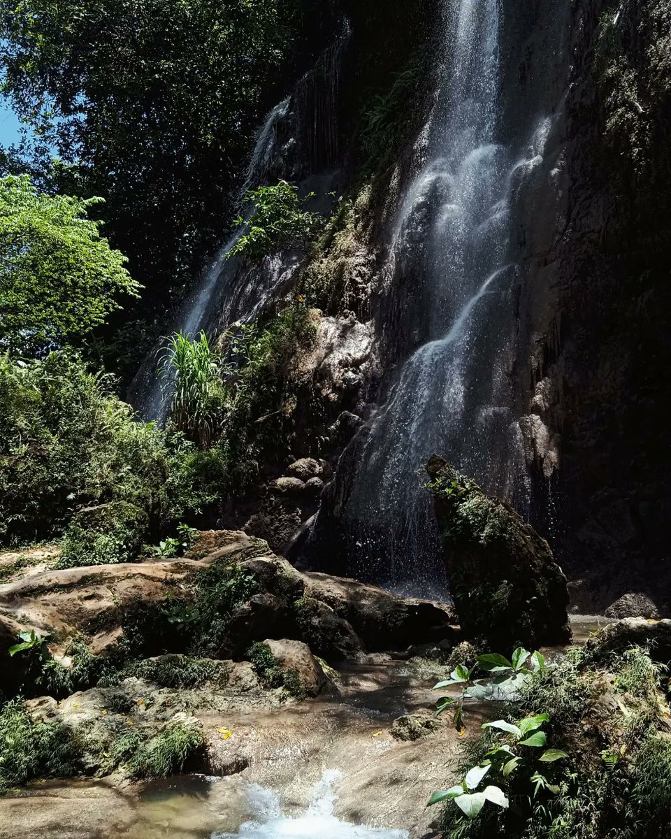 🦊 、 tweet media