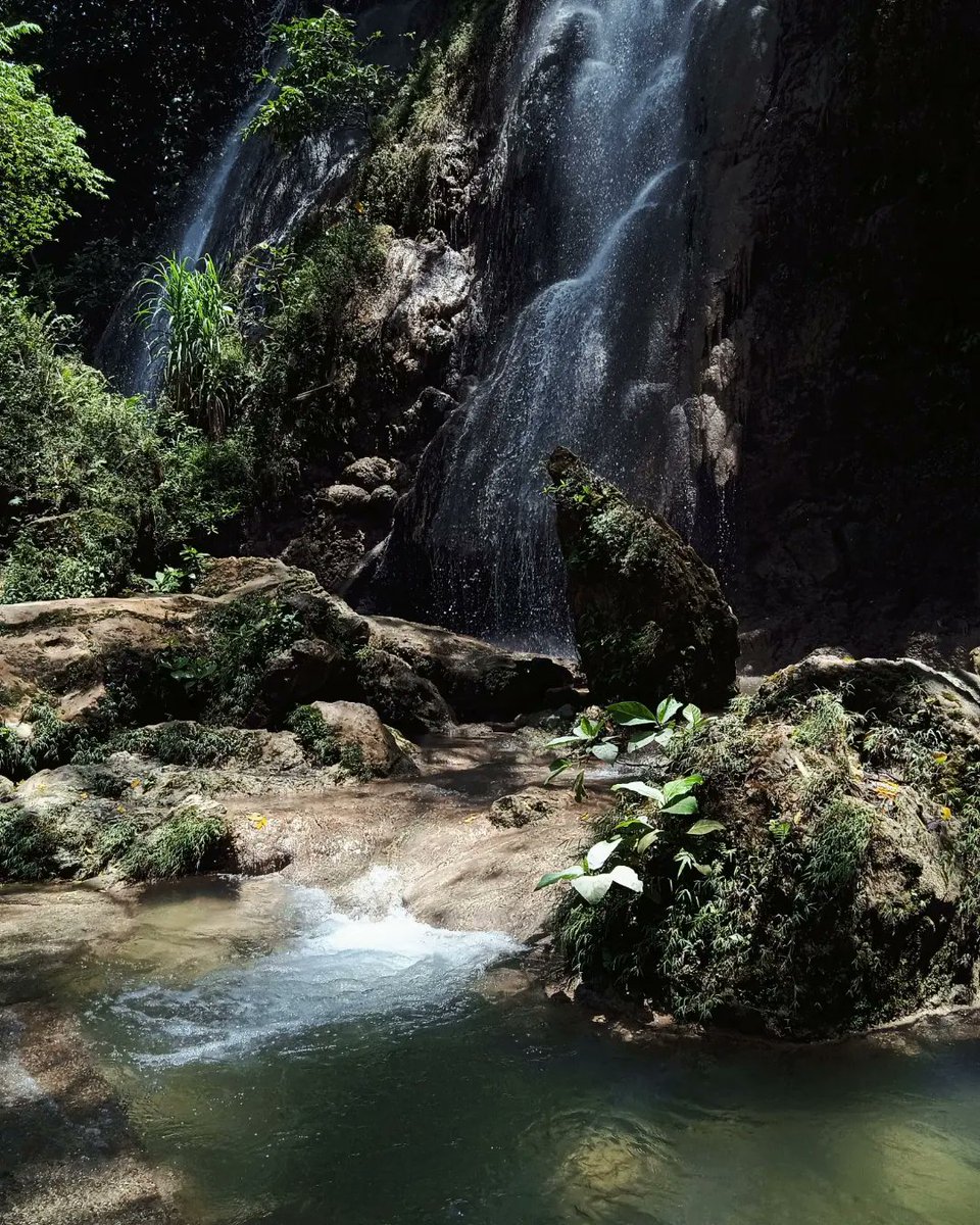 🦊 、 tweet media