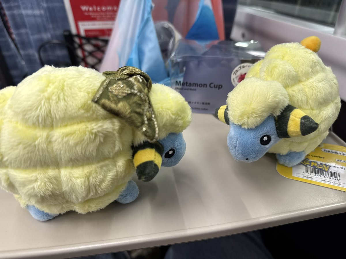 ぴかちょ tweet media