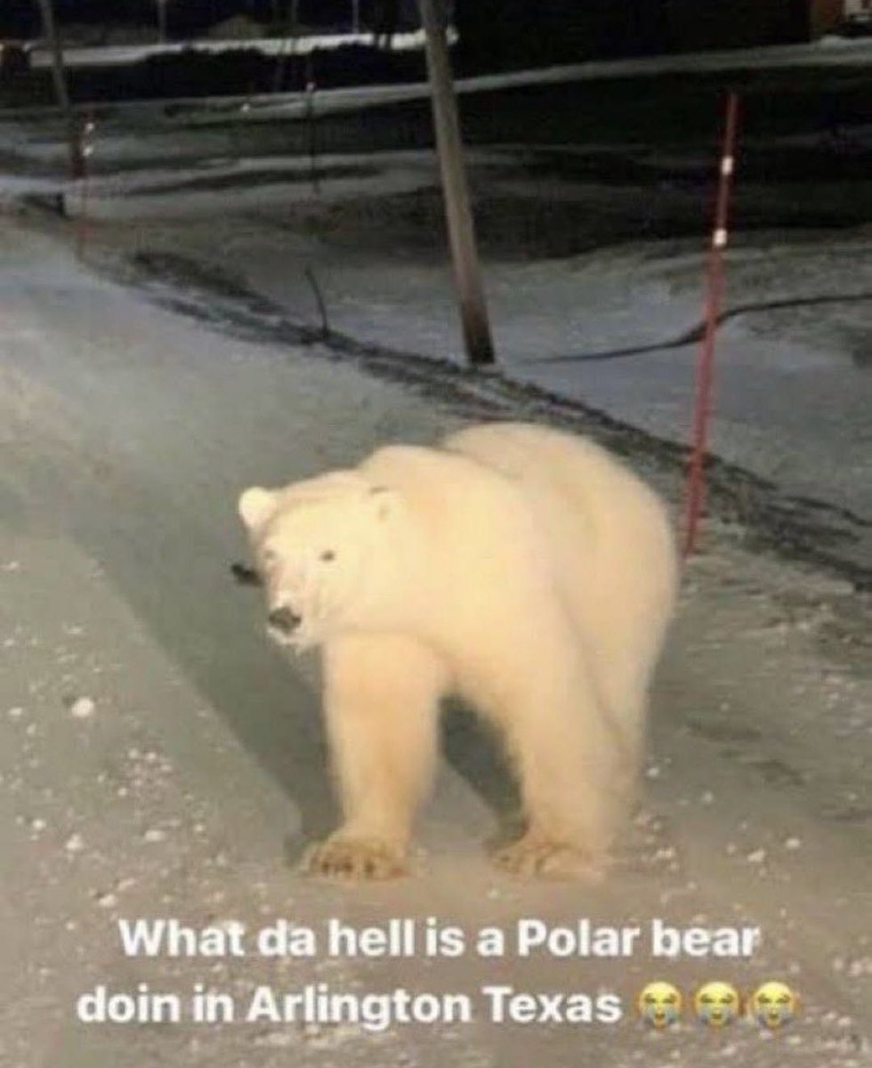 Azuilaz's tweet image. “Travis Hunter”