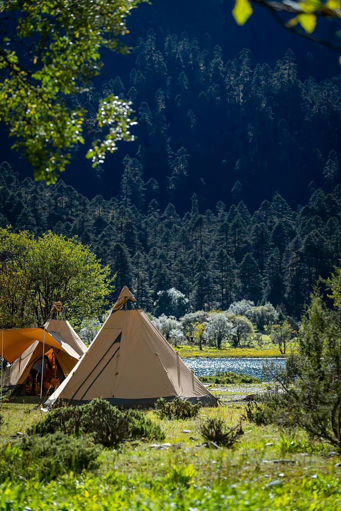 Oakview Lodge tweet media
