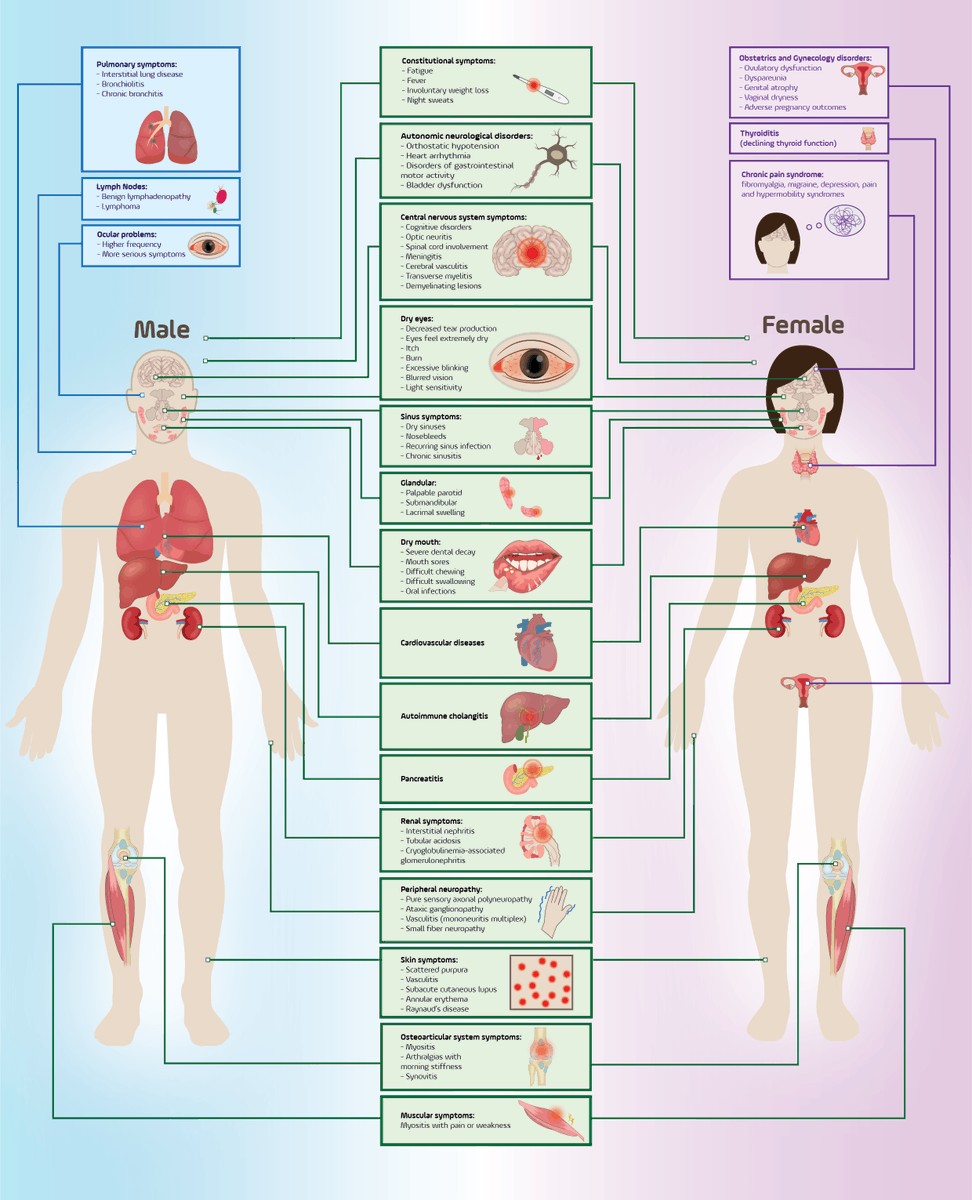 Landmark_IMR's tweet photo. 💡 Are we missing a key factor in the early diagnosis of primary Sjögren’s syndrome, especially in seronegative and heterogeneous cases?

👉 Explore the full study: https://t.co/SLBidV4n4y

This review explores how novel autoantibodies, non-invasive fluid biomarkers, and AI-driven multi-omics approaches may transform detection and risk stratification in pSS.

✒️ Author:  Thao Thi Do, Vy Thuy Nguyen, Kim Tran Thien Duong, Huy Gia Truong, Duong Nguyen Thuy Le, Quan Minh Mai Le, Thu Ngoc Trinh, Tin Hoang Nguyen (Corresponding author)

🏪 Affiliation: Can Tho University of Medicine and Pharmacy; Nam Can Tho University; National Yang Ming Chiao Tung University @NYCU_official

Welcome to submit your work via our submission link👉: https://t.co/wHF8lp2GCr

FBL is dedicated to the publication of original articles, reviews, methods and commentaries in all areas of cellular and molecular biology.
📖  Click here for author guidelines: https://t.co/EBITEzbjBy

#Autoimmunity #Rheumatology #Biomarkers #PrecisionMedicine #Research #FBLPaper