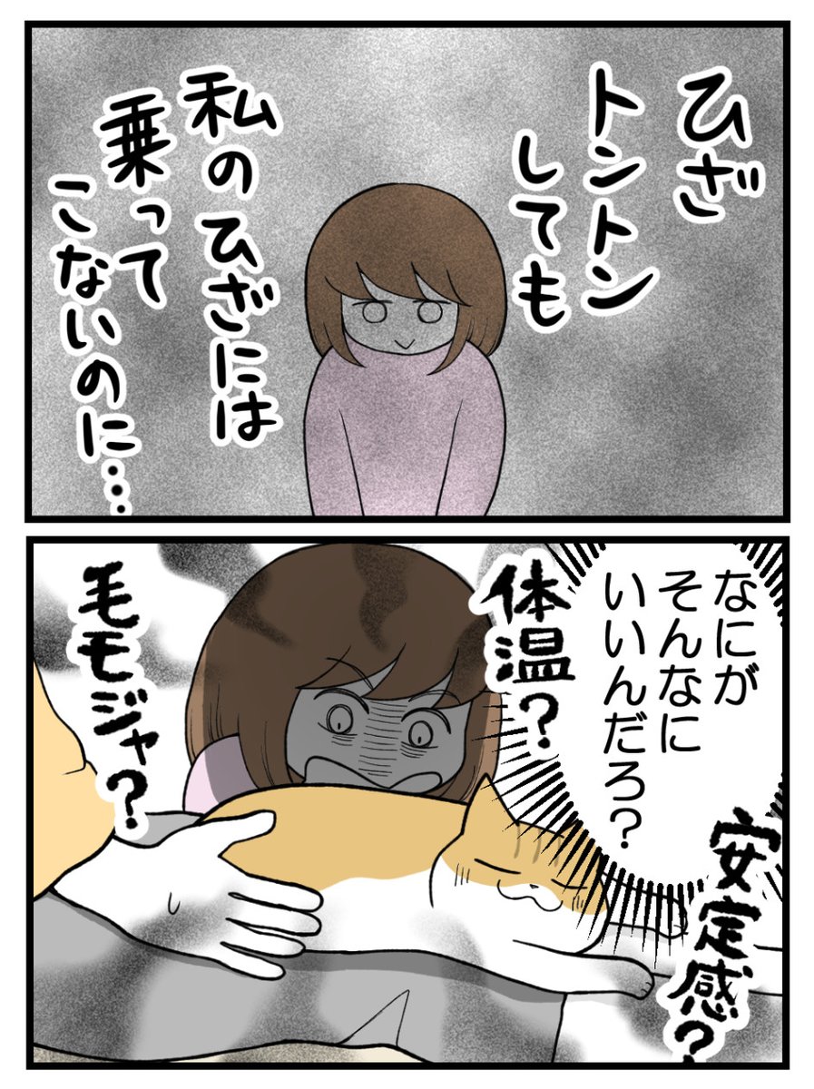 (2/3) 