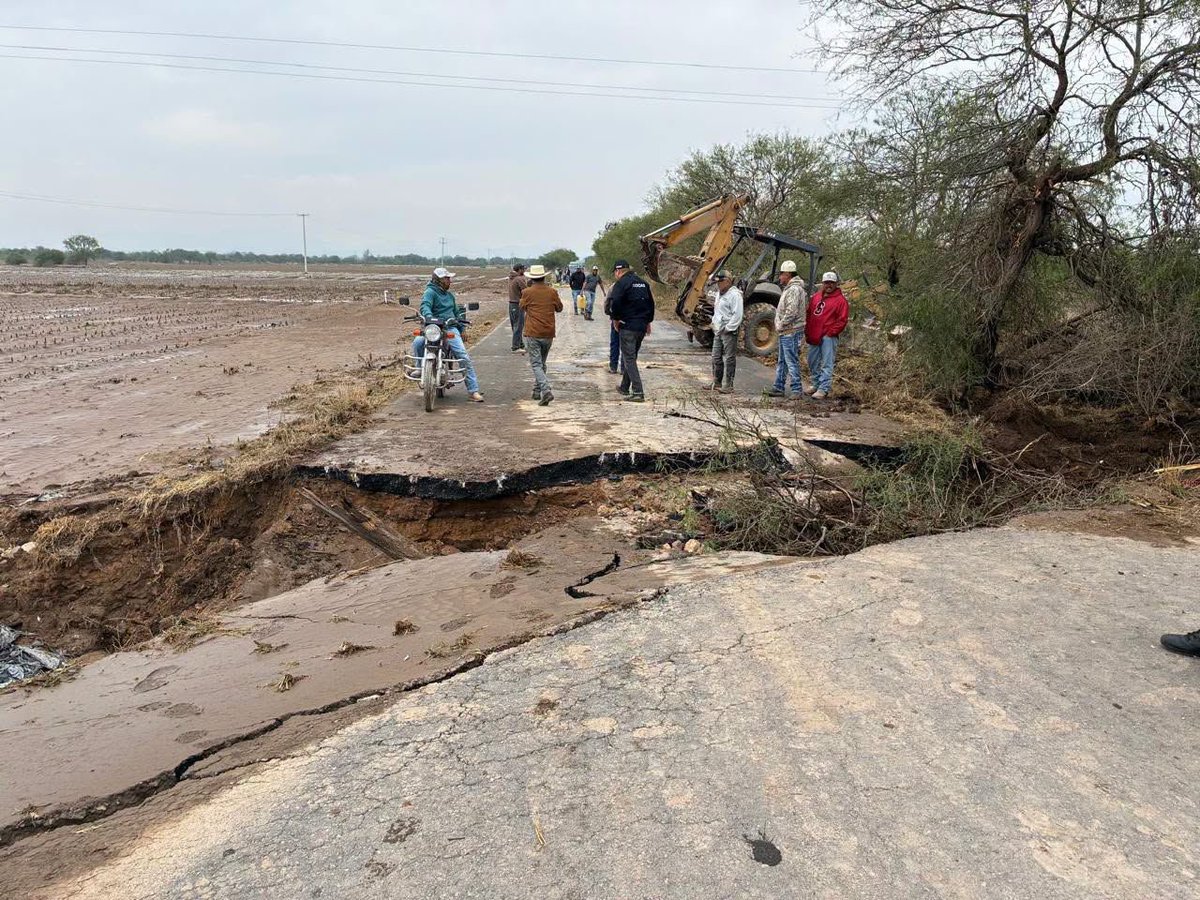 Síntesis San Luis tweet media