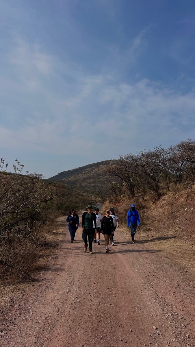 ArticuloCuarto's tweet photo. Hoy salimos a caminar, recorrimos La Laborcita, donde la ciudad se encuentra con la Sierra de Lobos

Consuelo de @aguagobgente  nos habló de semillas: cómo viajan, cómo resisten, cómo guardan vida

Sembrar también es entender Y entender, cuidar. https://t.co/sm6PyZtvUj