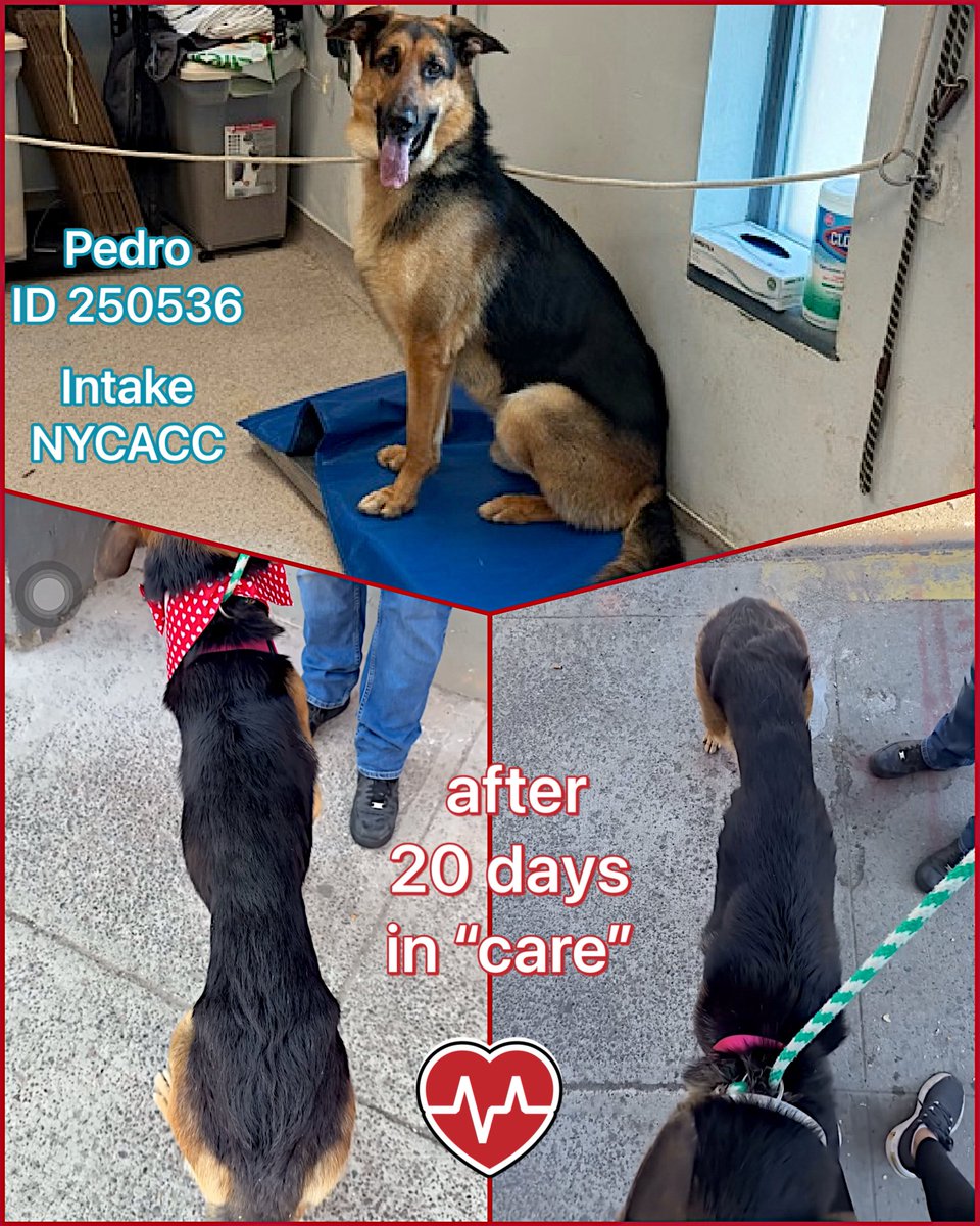 Malimum 🇩🇪 tweet media