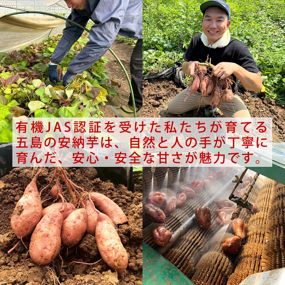 五島商店 佐藤の芋屋 tweet media