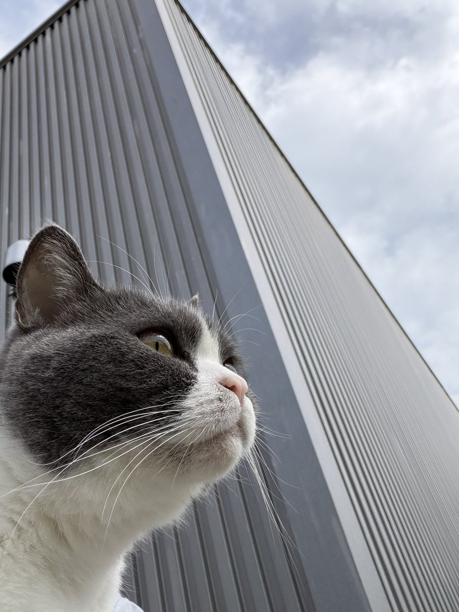 YO@Yoshitaka_Shikano tweet media