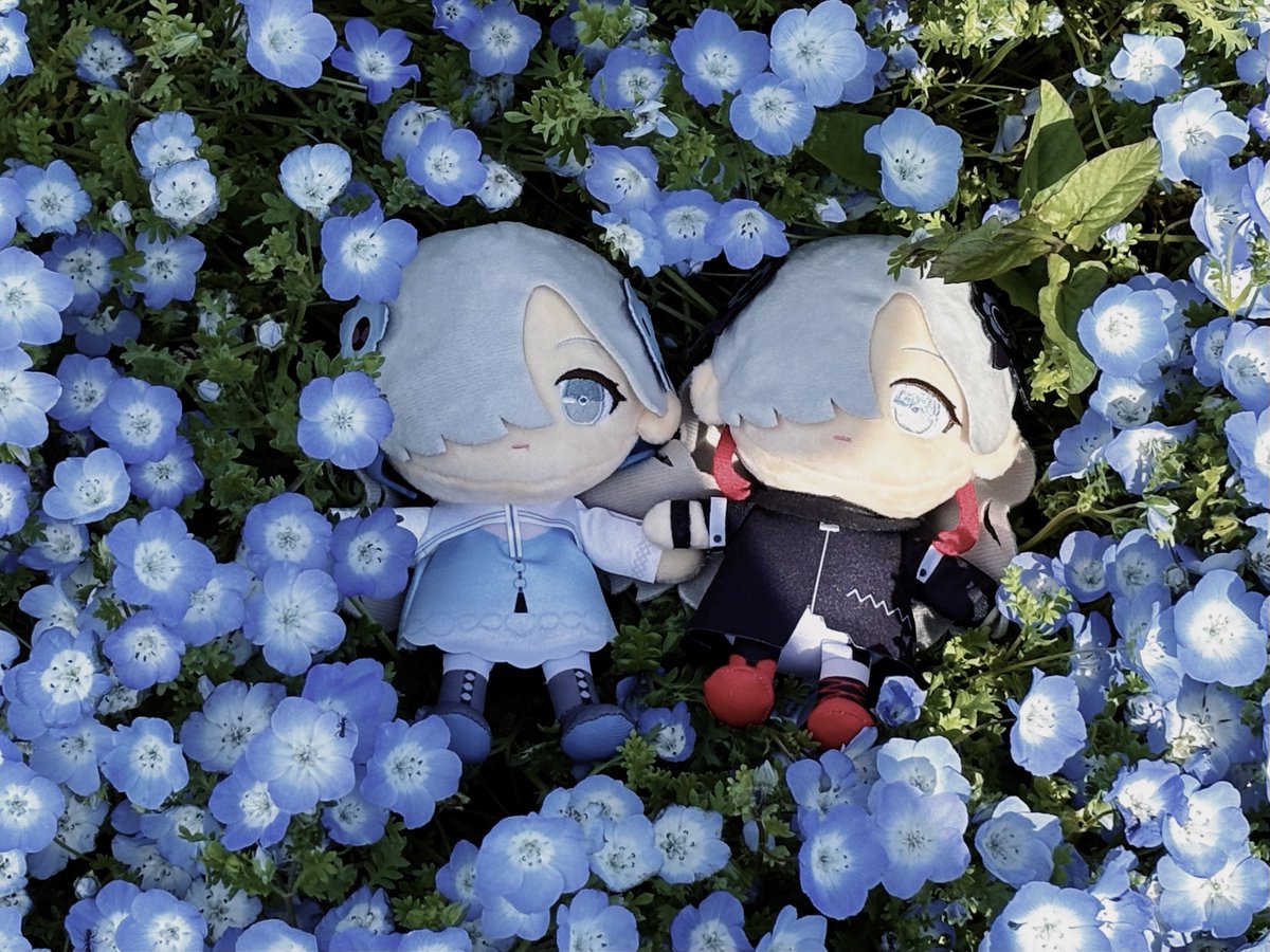 Yiii@ヰ組 tweet media