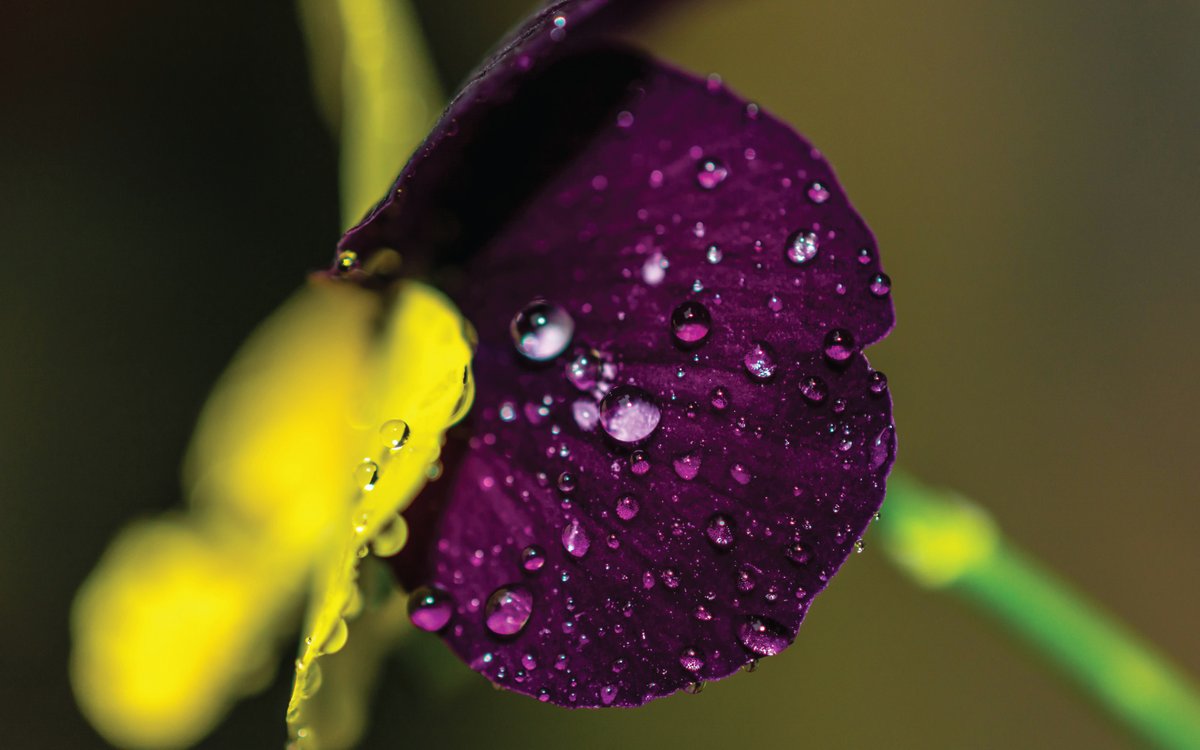 This #EarthDay, read how <a href="/ASTARsg/">A*STAR</a> researchers   developed a metal-free, recyclable catalyst that uses falling raindrops to convert CO₂ directly into methanol fuel, no external power needed. Turning rain and waste carbon into clean energy.

Read more: bit.ly/4msM1l5