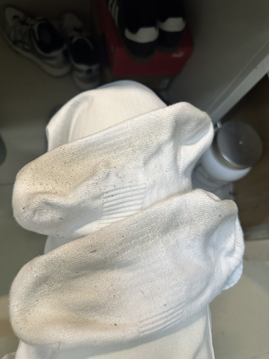 火气爆爆猪 tweet media