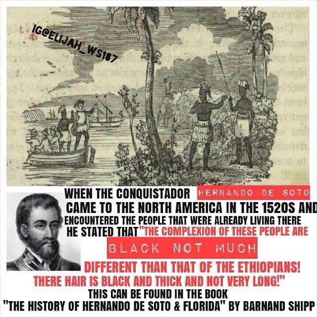 _DreD🅰️Truth_ 🦍🔥💯 tweet media