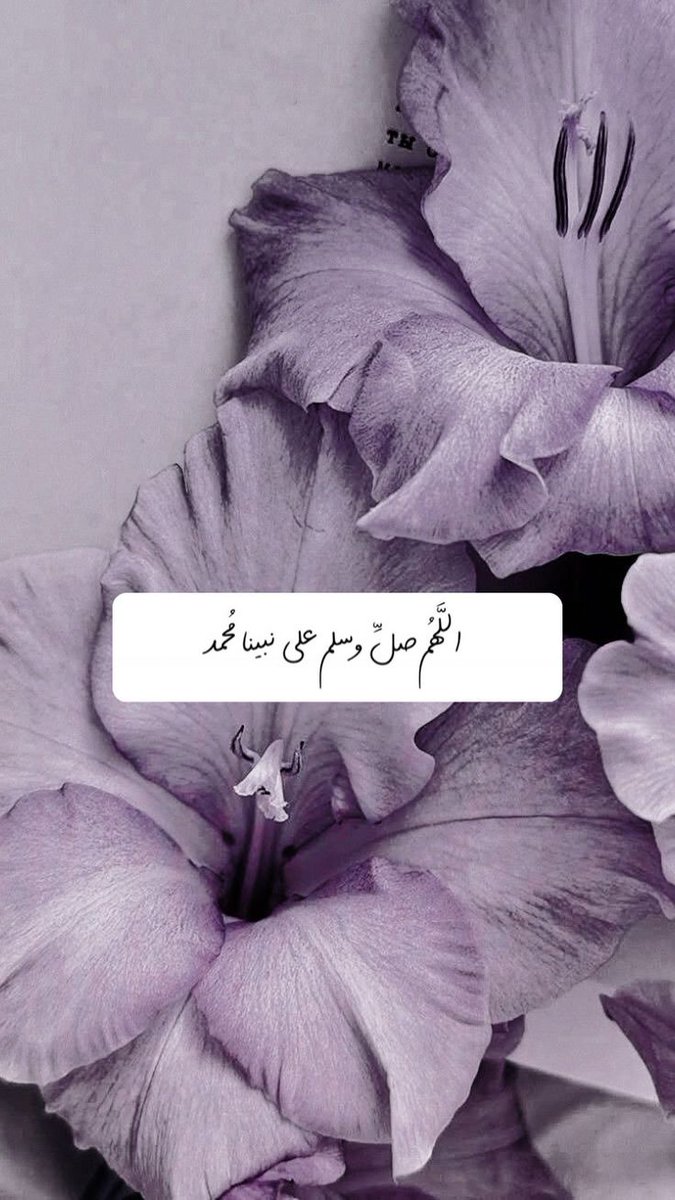 صلوا علی النبي محمد ﷺ tweet media