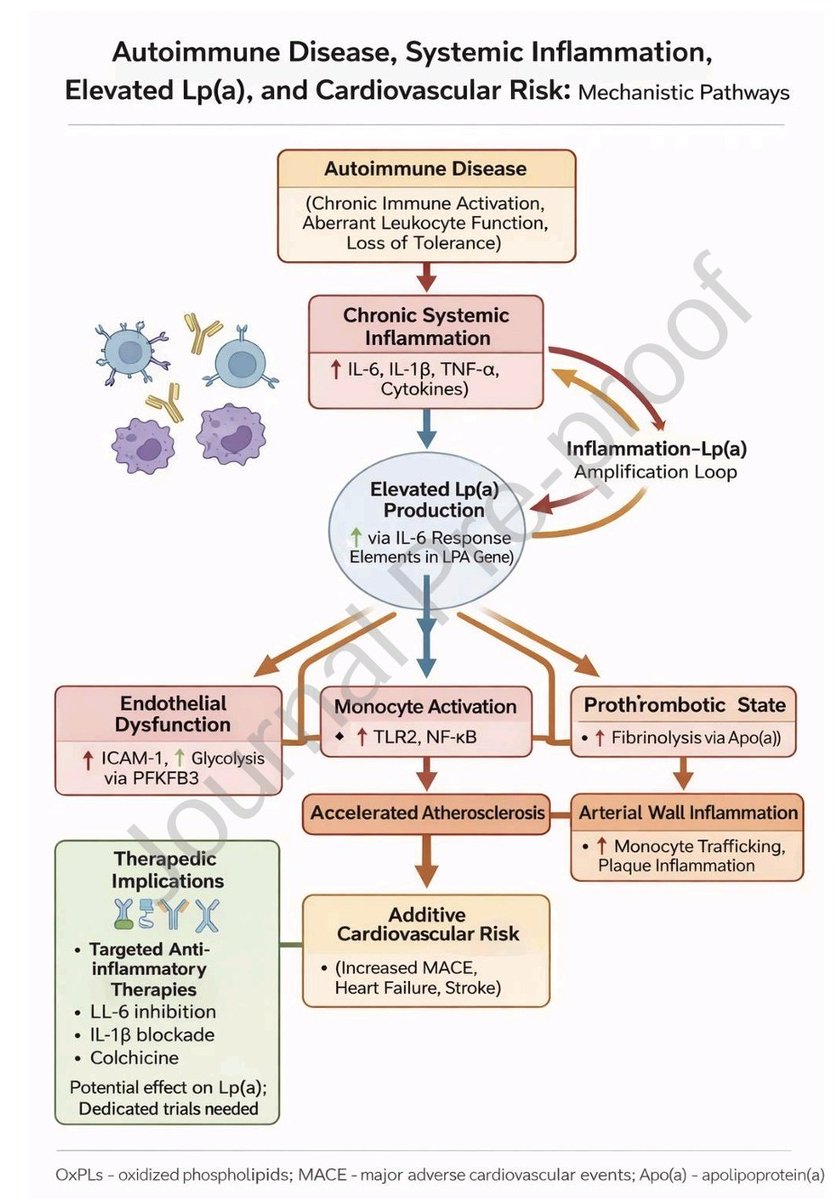 Marcos Gamboa tweet media